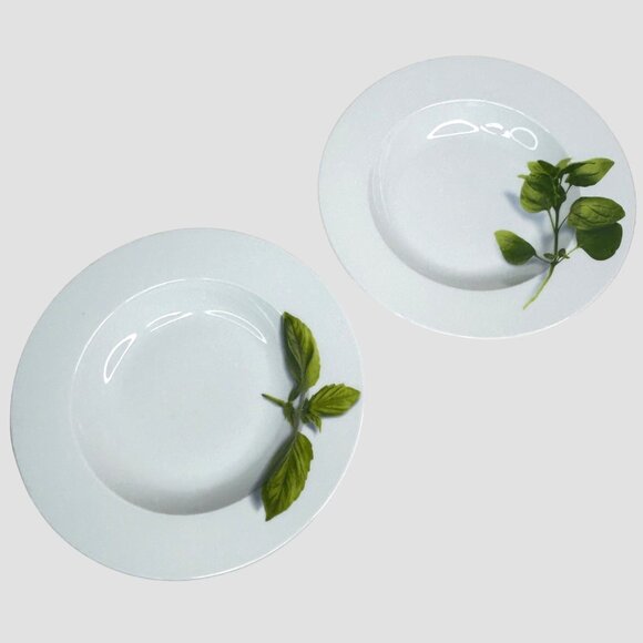 Crate & Barrel Herb Motif Porcelain Dinner Plates Set Of 2 - Picture 2 of 9